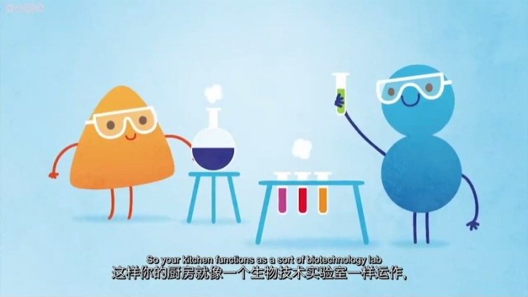 【动画科普:微生物是如何创造美味的】面包松软有嚼劲、奶酪上有缺口、醋的酸味儿……这些都离不